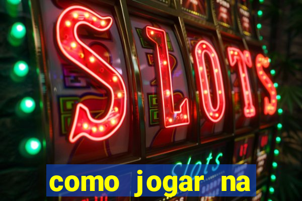 como jogar na lotinha do jogo do bicho